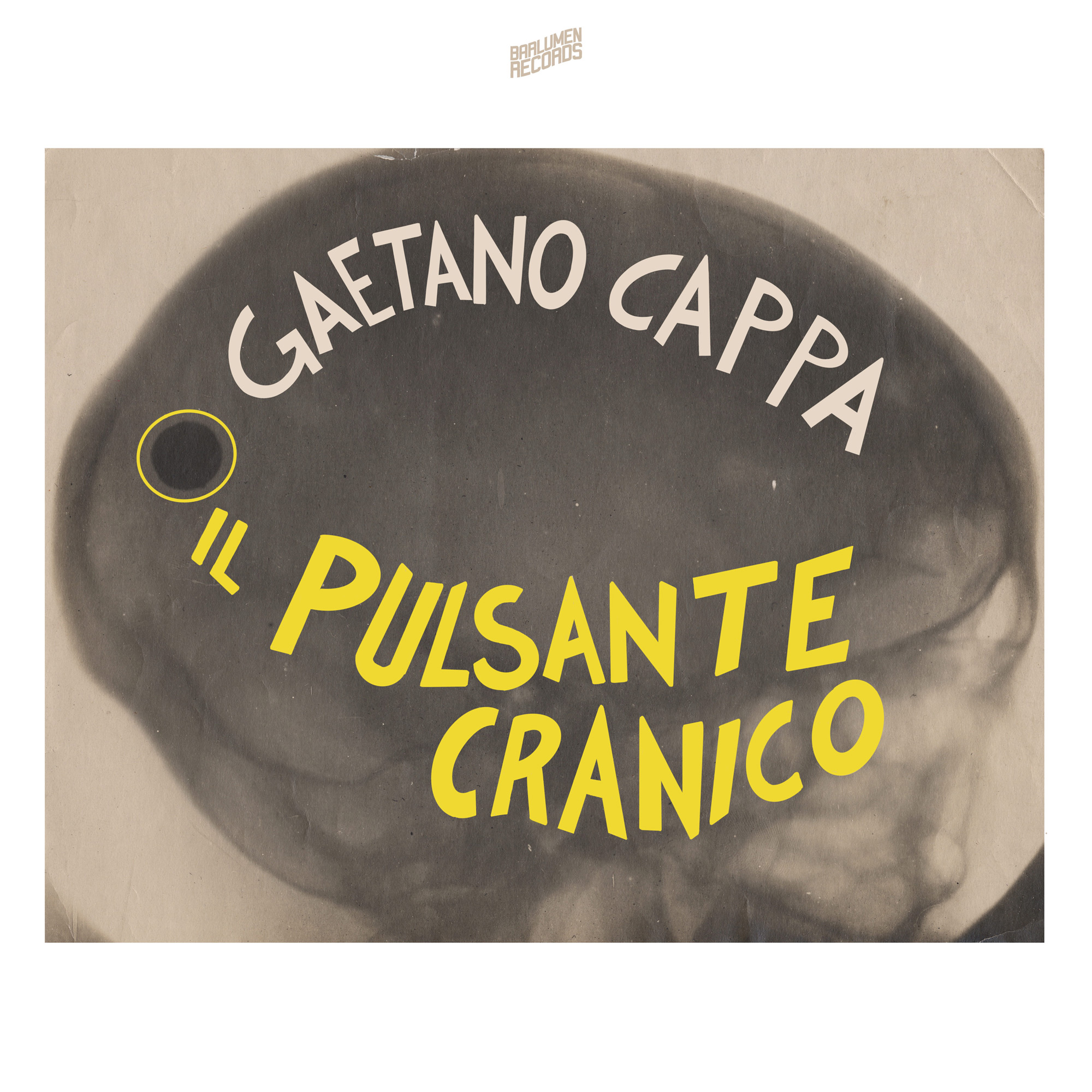 <span>Il pulsante cranico</span>

